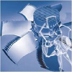 公海彩船·6600(中国游)官方网站