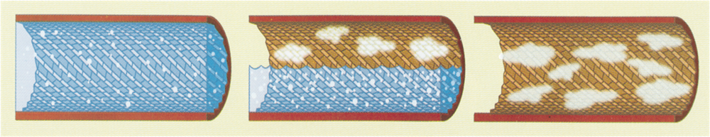 公海彩船·6600(中国游)官方网站