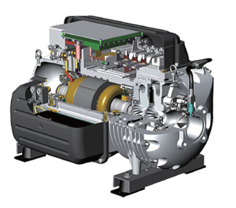 公海彩船·6600(中国游)官方网站